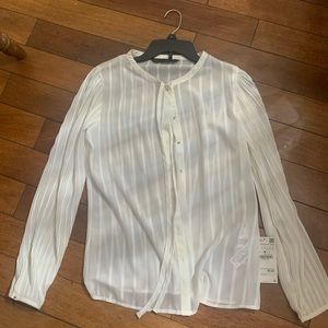 Zara sheer button down blouse